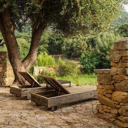 Proche Avec Piscine * Pigna