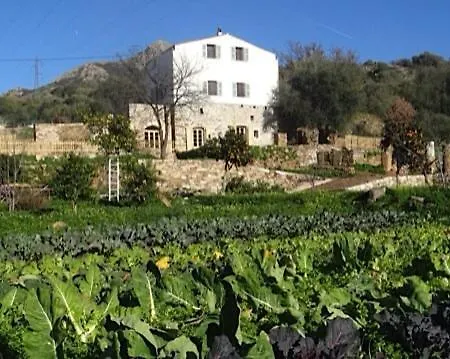 Villa Proche Avec Piscine Pigna