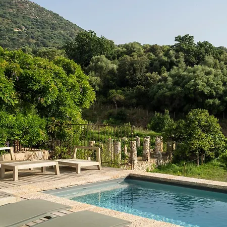 Villa Proche Avec Piscine Pigna